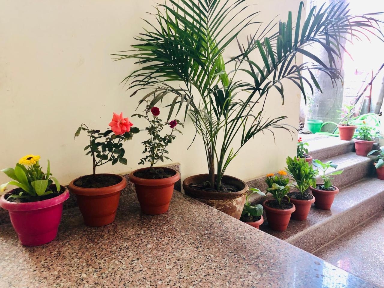 Gangotri Paying Guest House Varanasi Ngoại thất bức ảnh